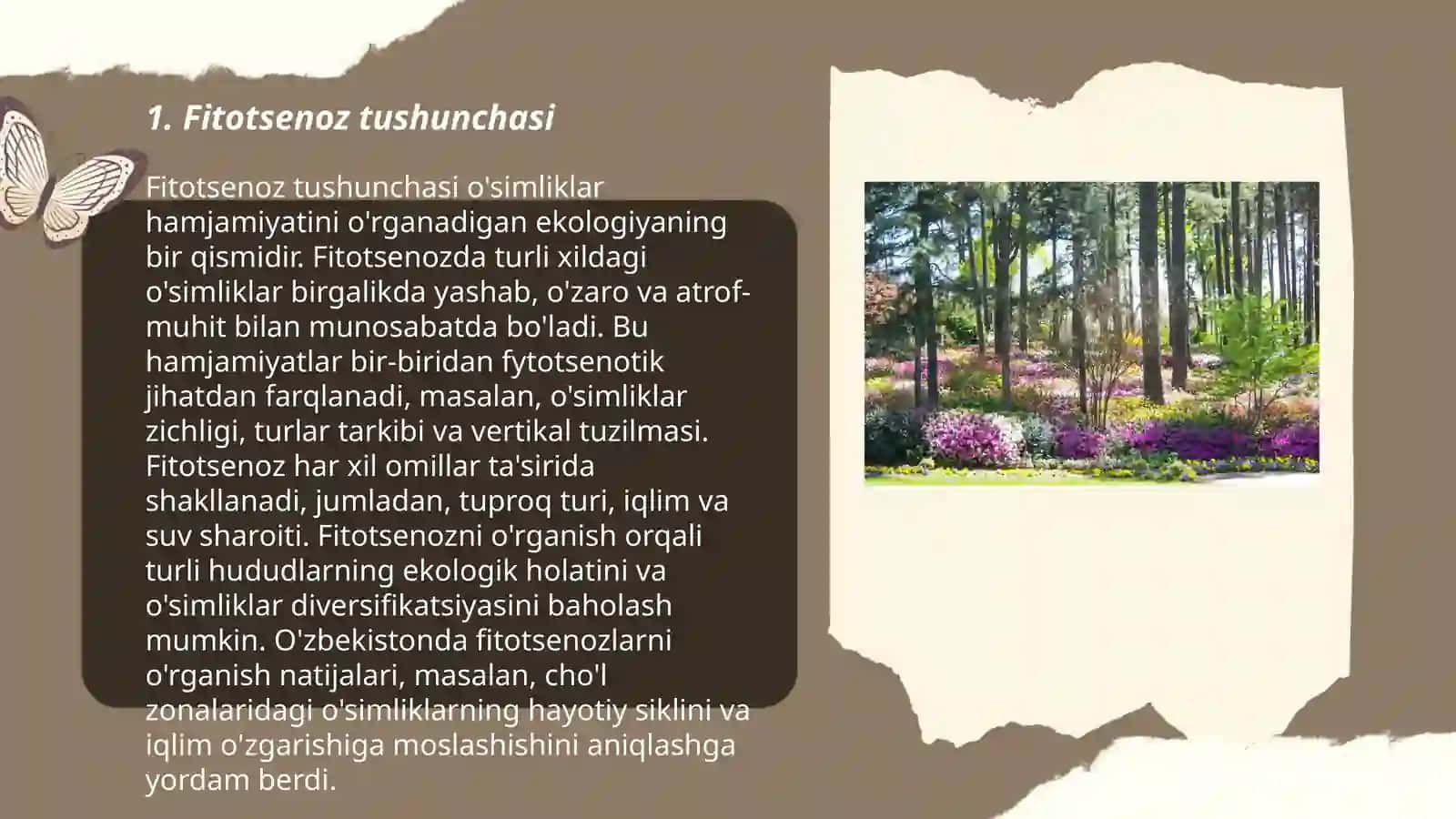 Fitotsenoz strukturasi 3