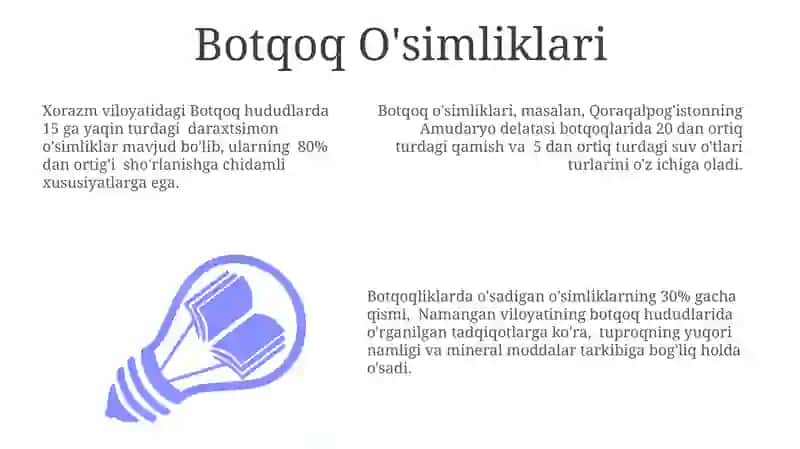 Botqoq Landshafti 3