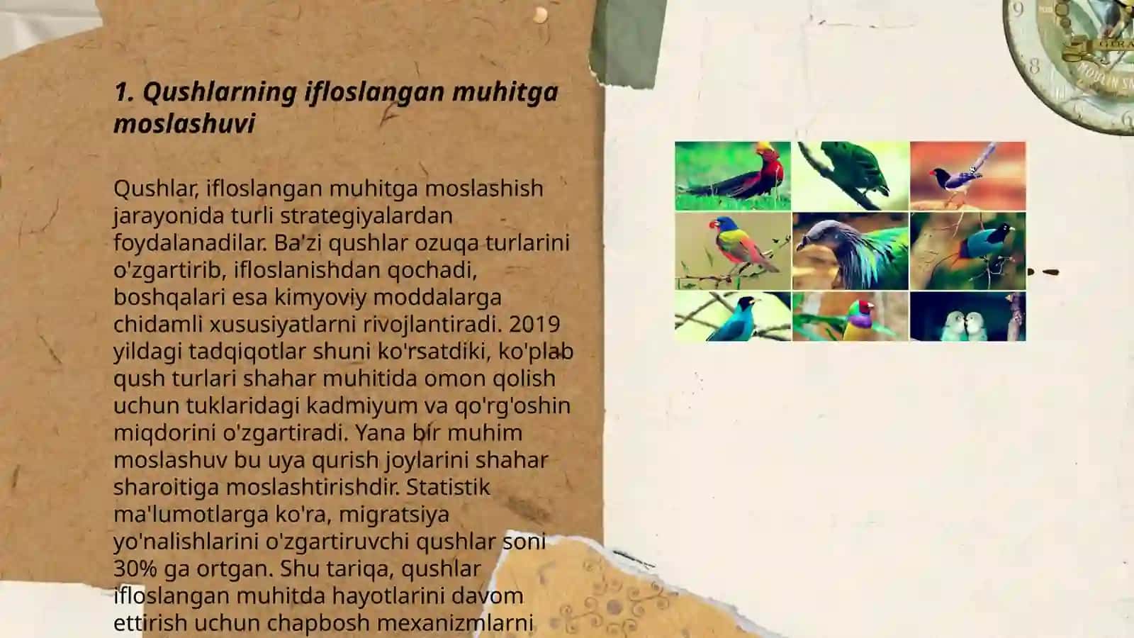 Qushlar biozararlanish manbai 3