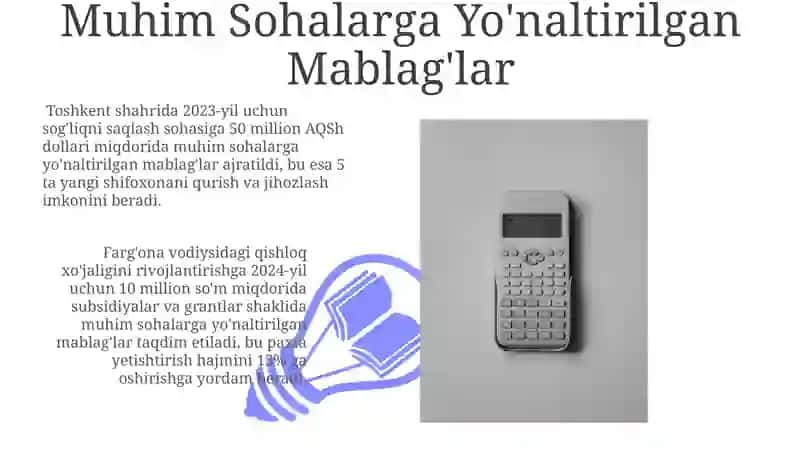Davlat maqsadli jamģarmalari 3