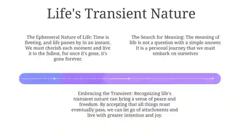 The Meaning Of Life 3