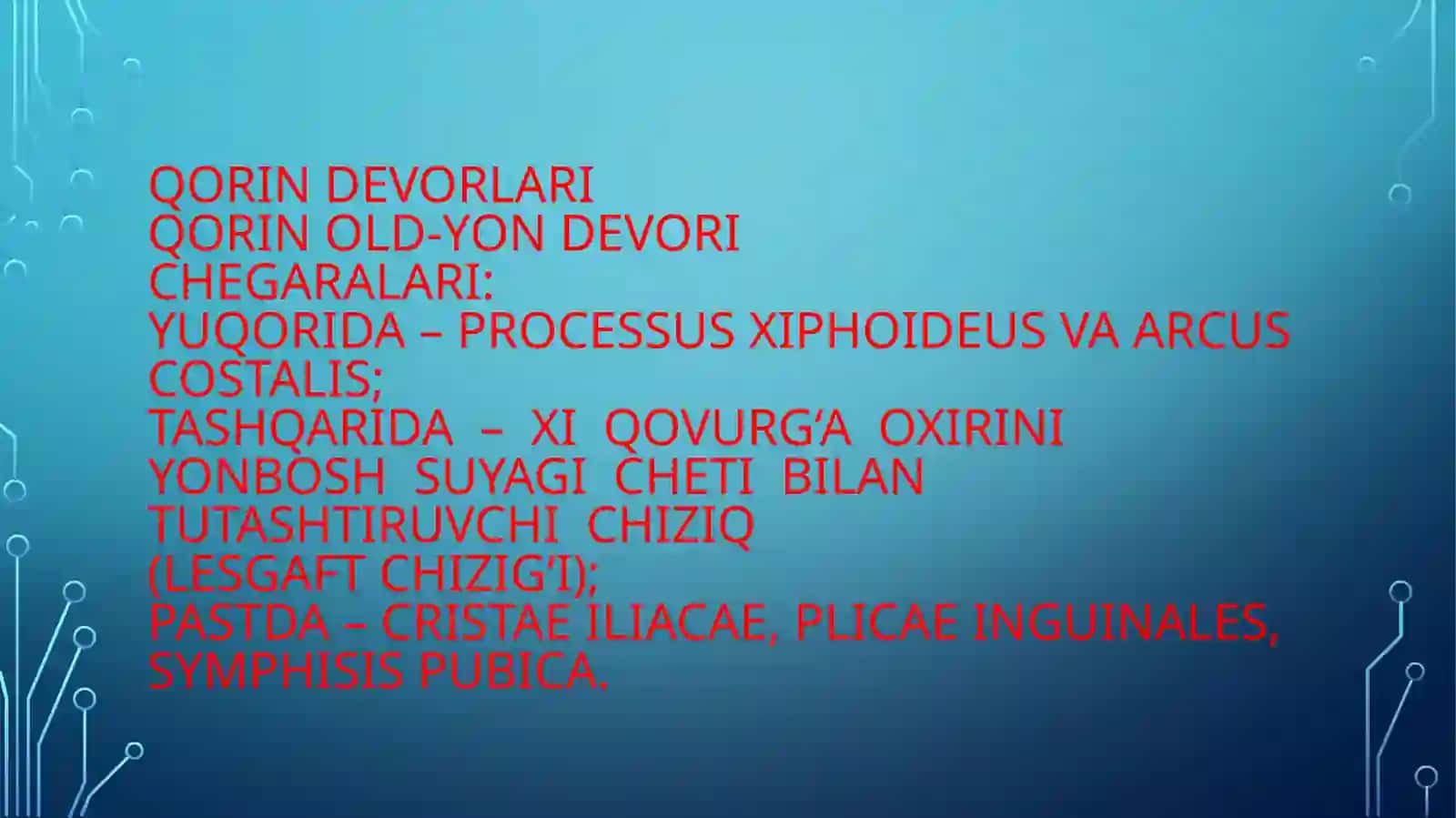 Qorinning topografik anatomiyasi 3