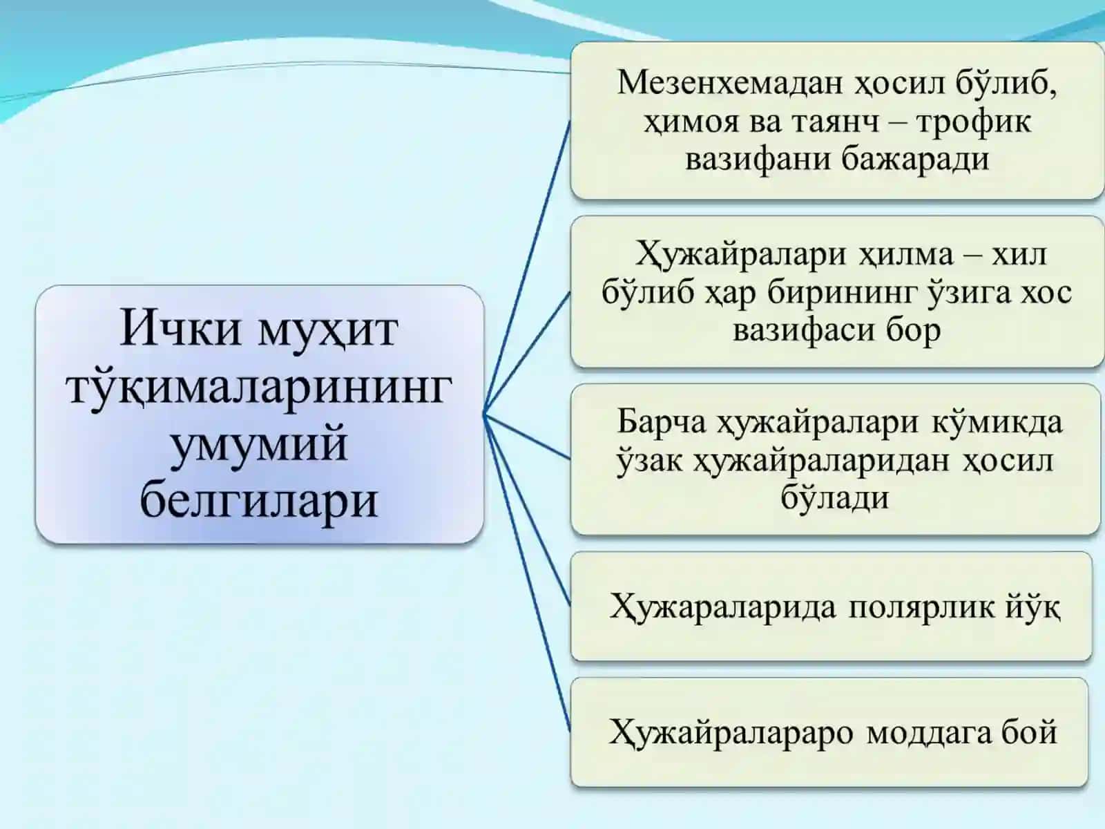 Мавзу. Ички муҳит тўқималари.Қон Режа 3