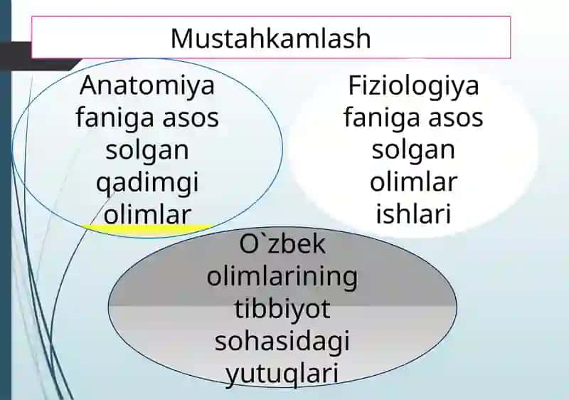 Odam organizmining hujayraviy tuzilishi 3