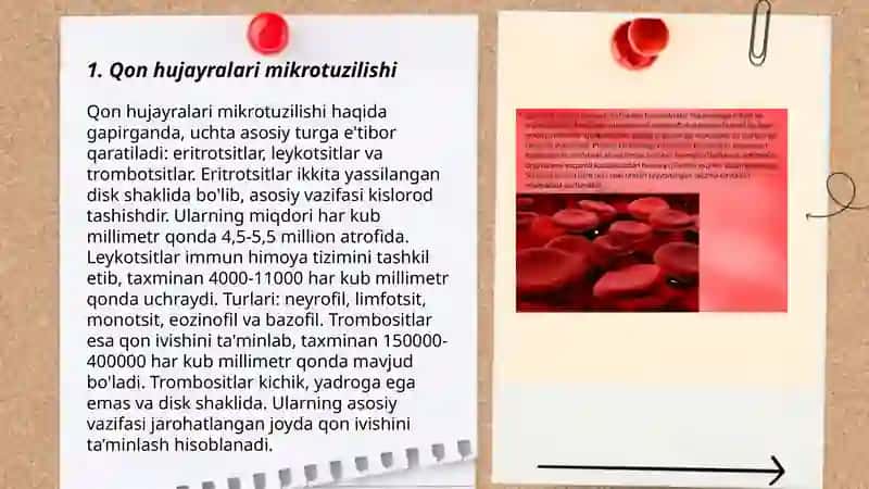 Qon shakli elementlari mikraskopik tuzilishi 3