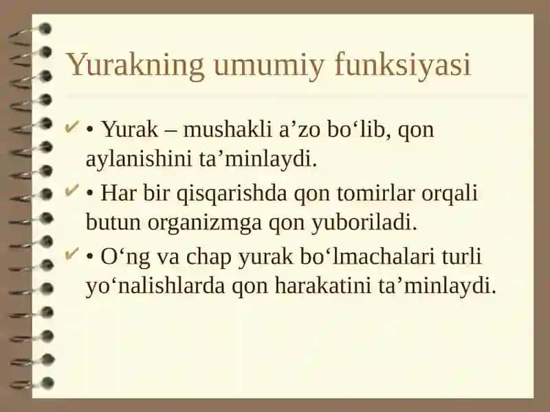Angiologiya.Yuraktuzilishi.Topografiyasi 3