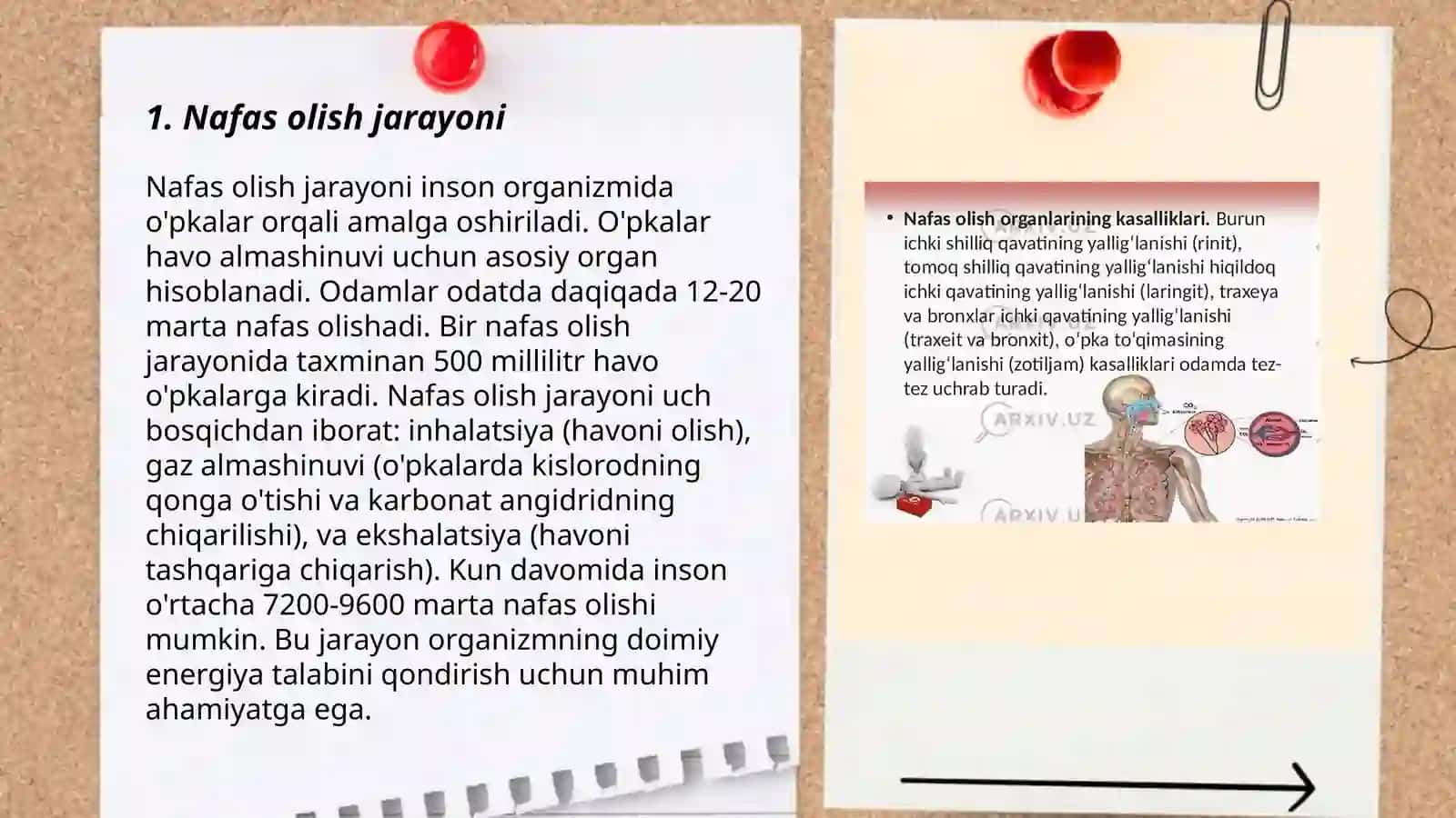 Nafas olish fizioliyasi o‘pkaning tiriklik sig‘imi 3