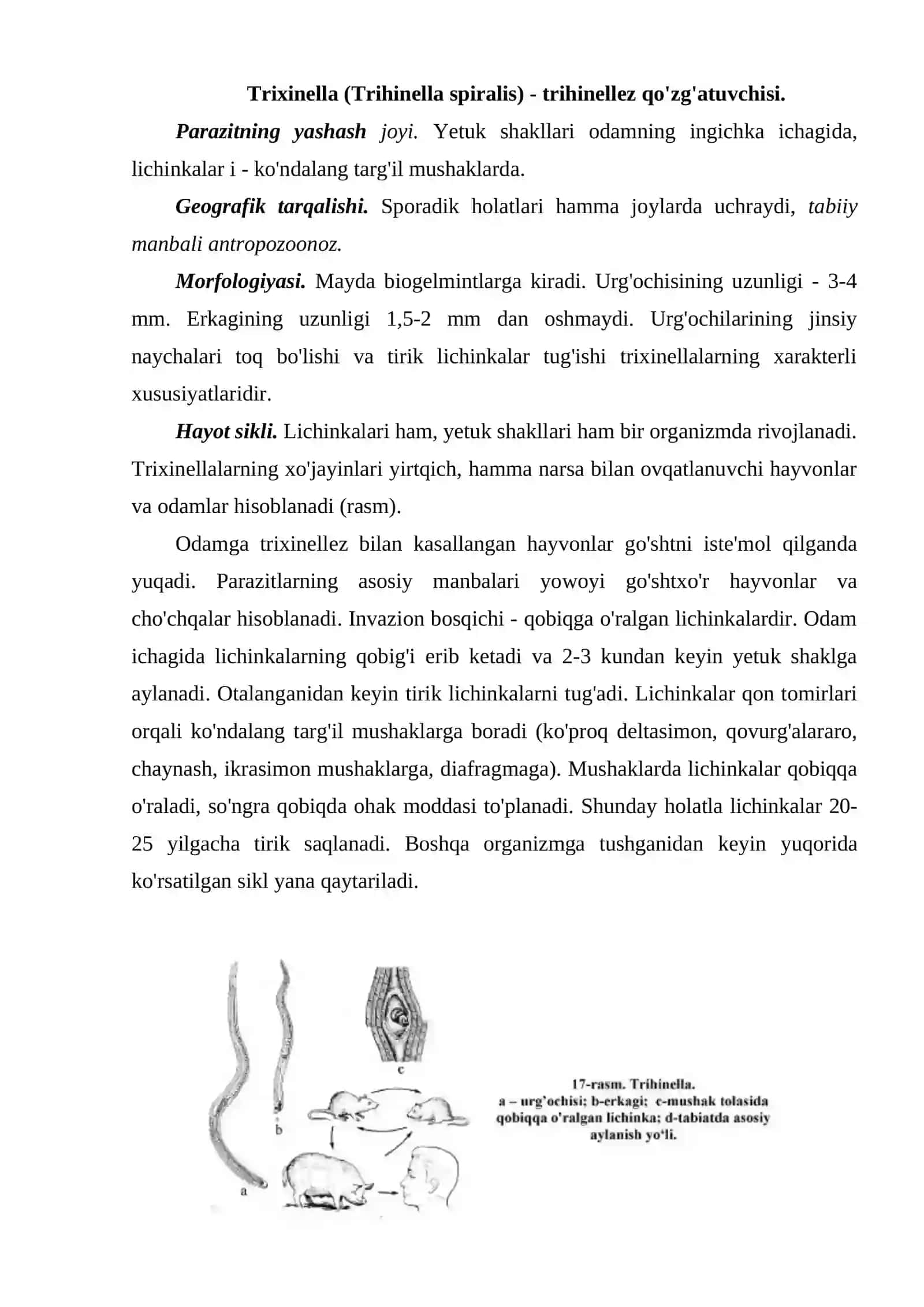 Yumaloq chuvalchanglar 3