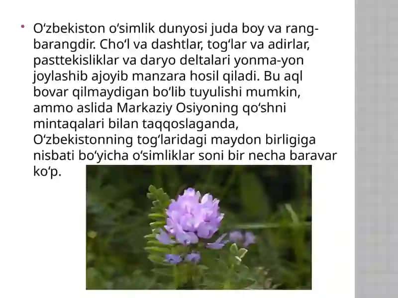 Oʻzbekistondagi foydali o’simliklar 3
