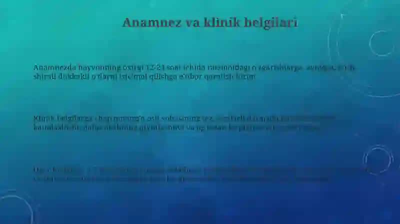 Qoramollarda Katta qorin ataniyasi 3