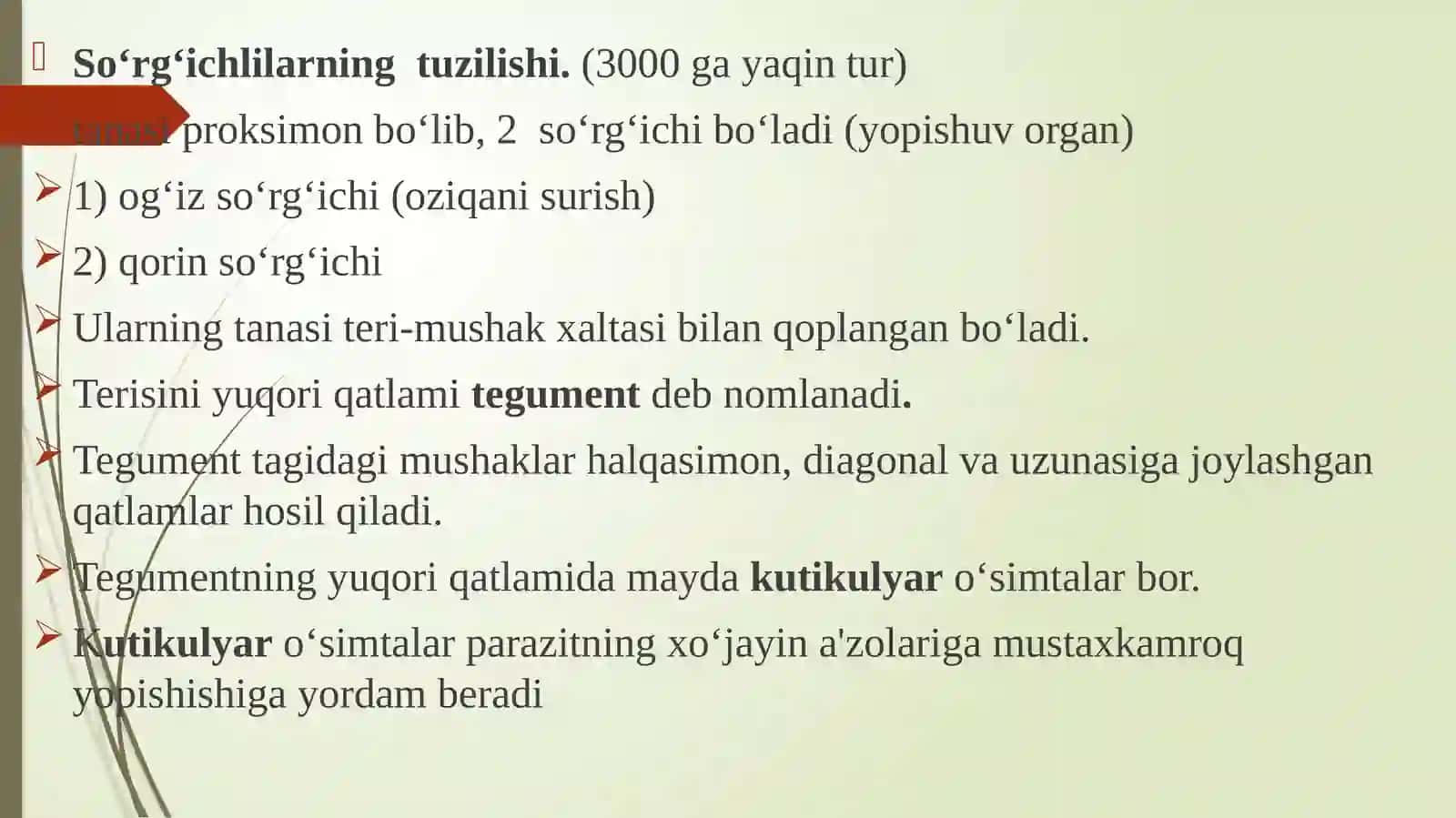 So‘rg‘ichlilar sinfi 3