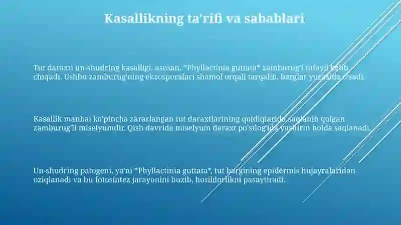 Tut daraxtida un shudring kasalligi 3