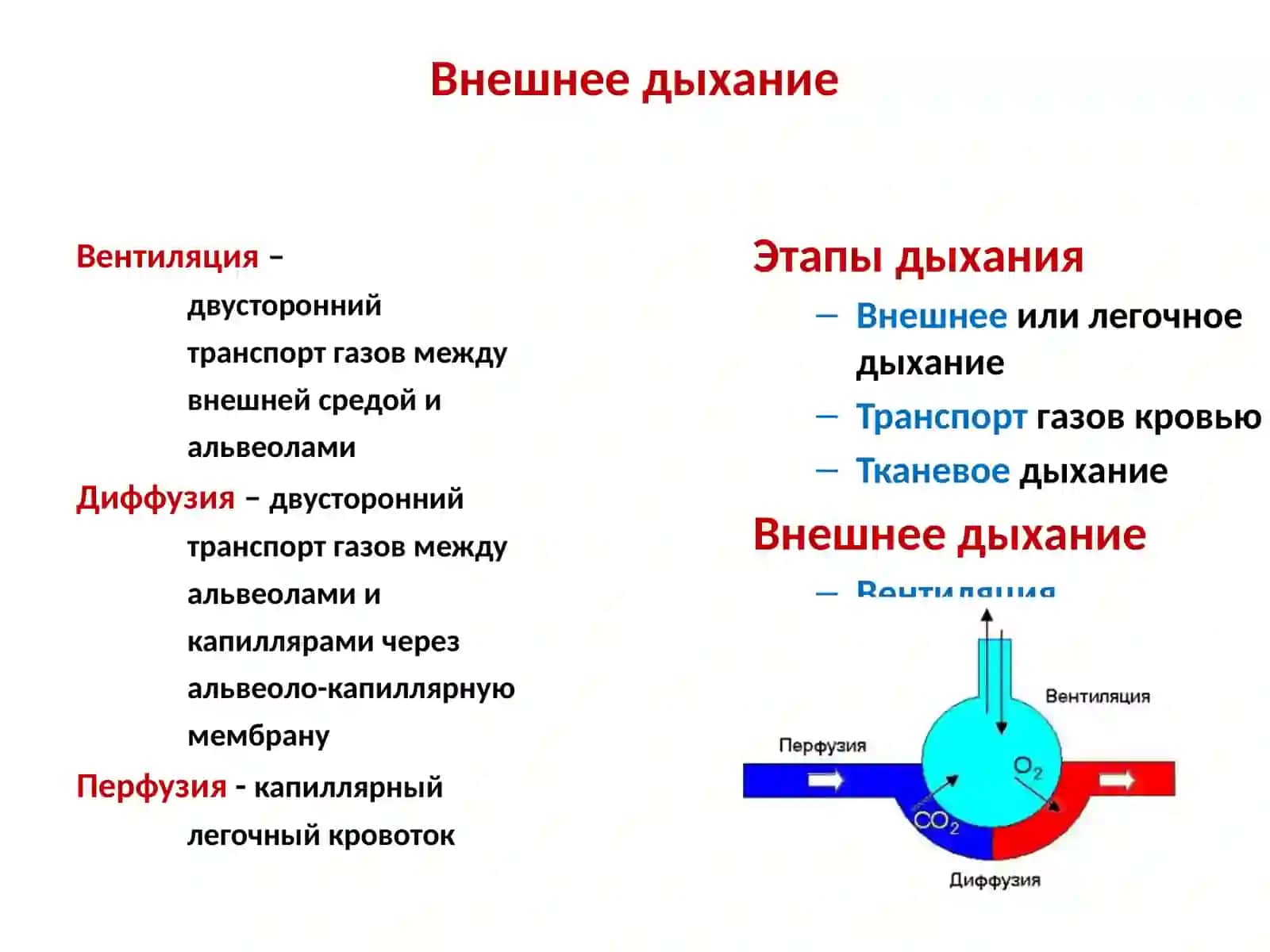 Патофизиология дыхания 3