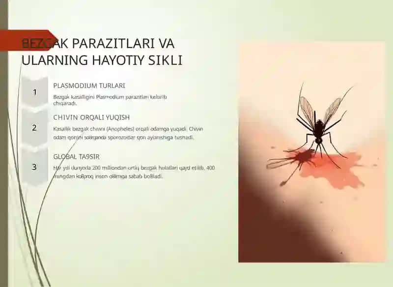 KOKSIDIOZ KASALLIGINING KLINIK KO'RINISHI VA DIAGNOSTIKASI 3