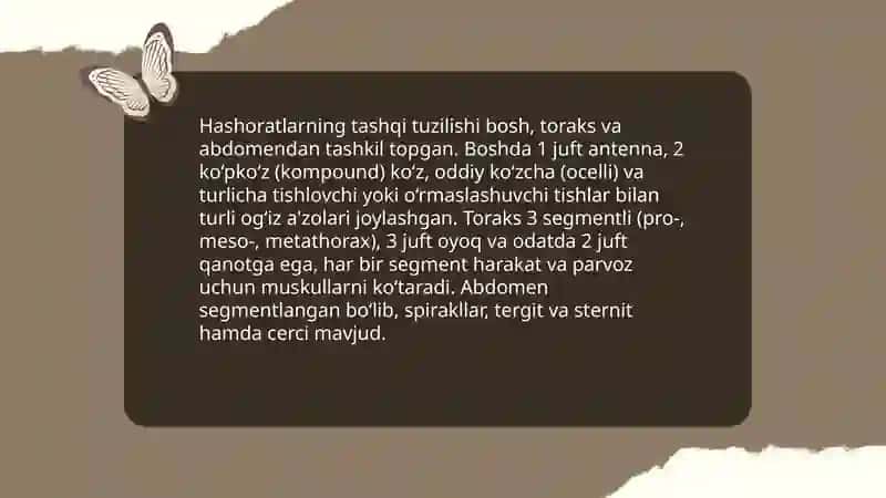 Hashoratlarning Tashqi tuzilishi 3
