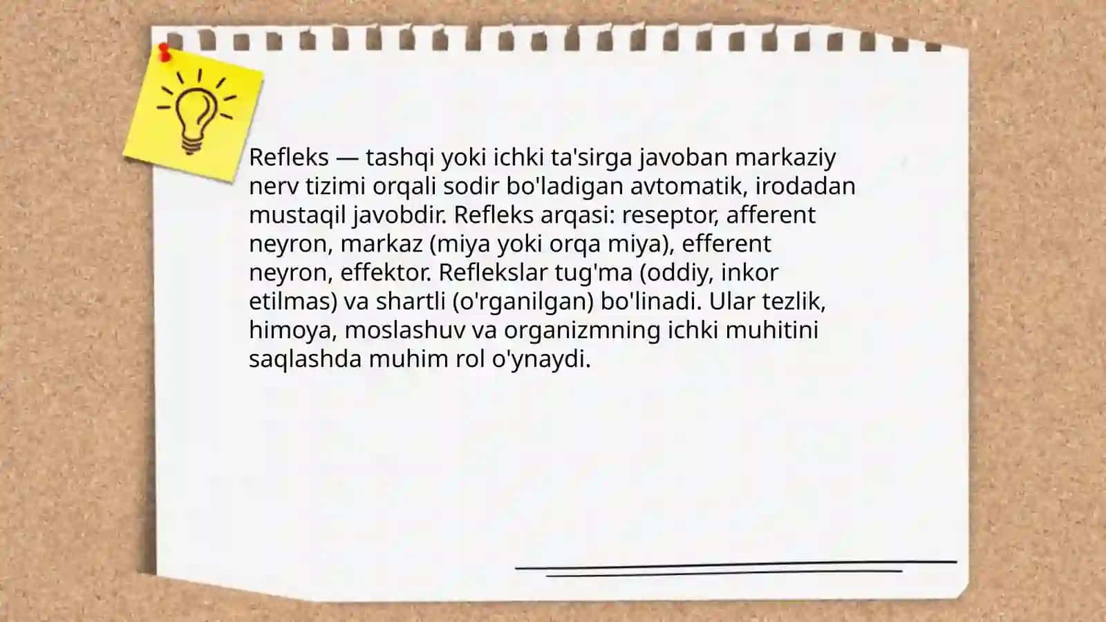 Reflekslar haqida tushuncha 3