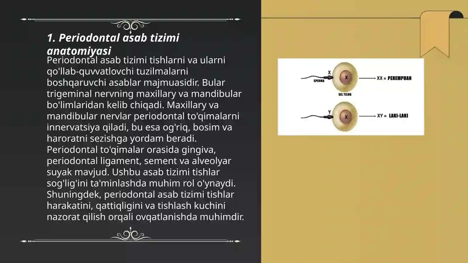 Paradantalogiyada asab tizimi kasalliklari 3