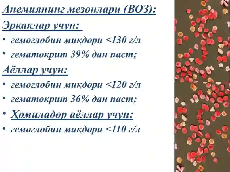 Анемия тўғрисида тушунча 3