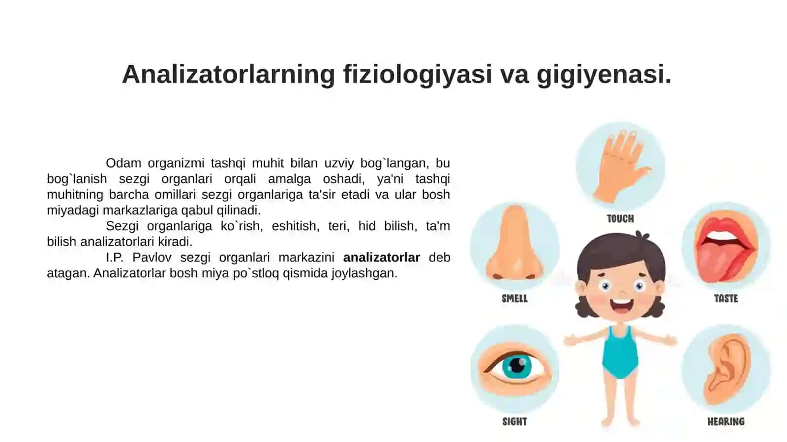 Analizatorlar 3