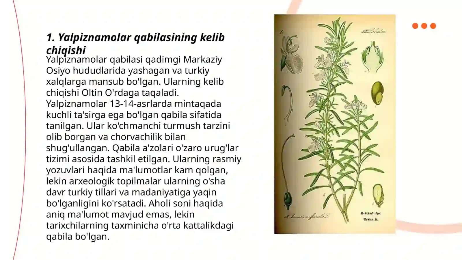 Yalpiznamolar qabilasi 3