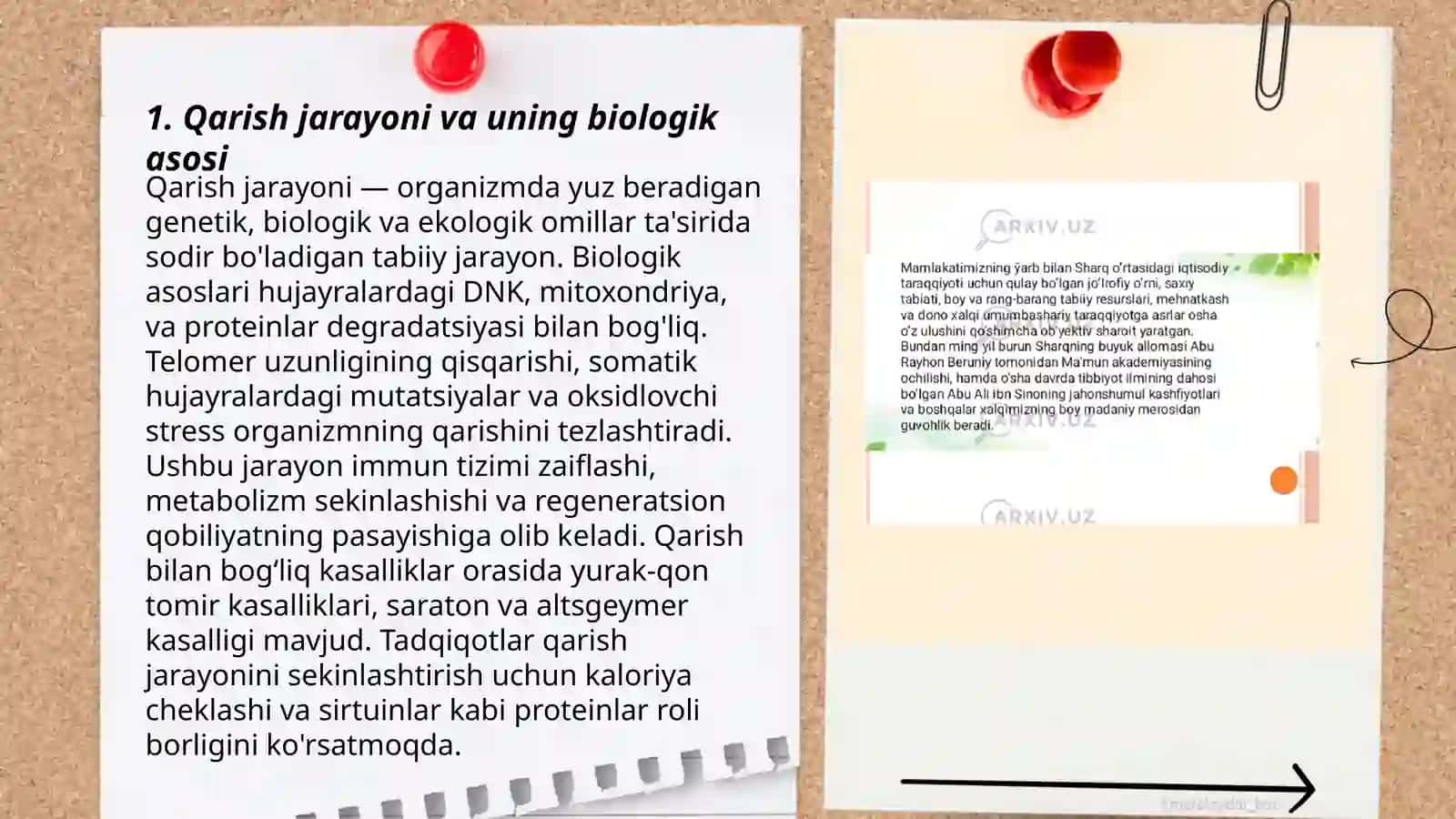 Organizmdagi keksayish davridagi o'zgarishlar 3