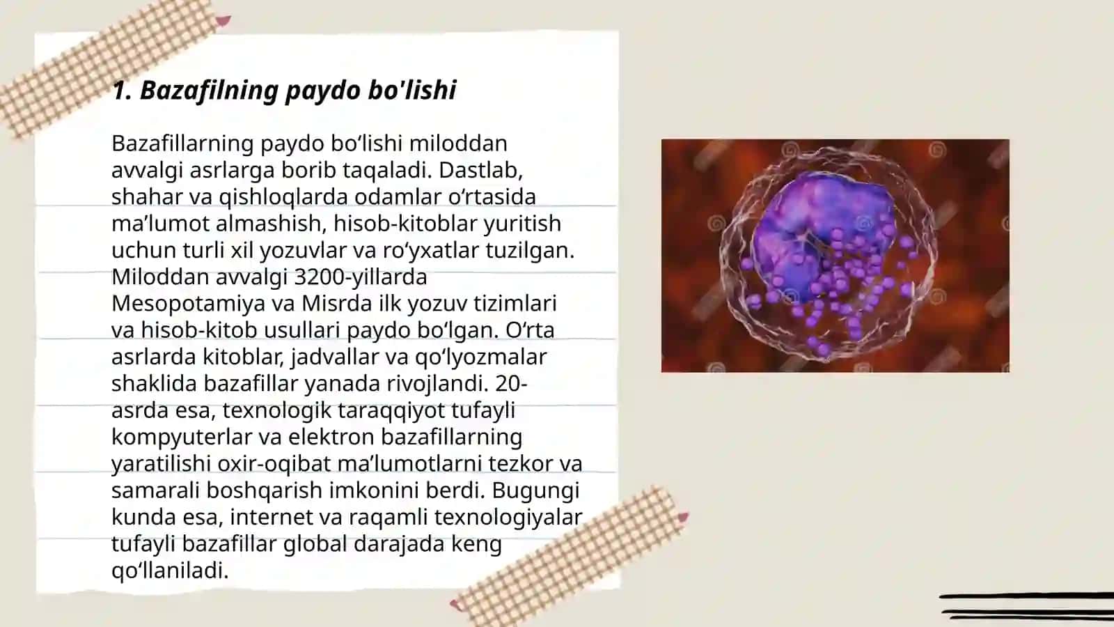 Bazafilning paydo bo'lishi 3