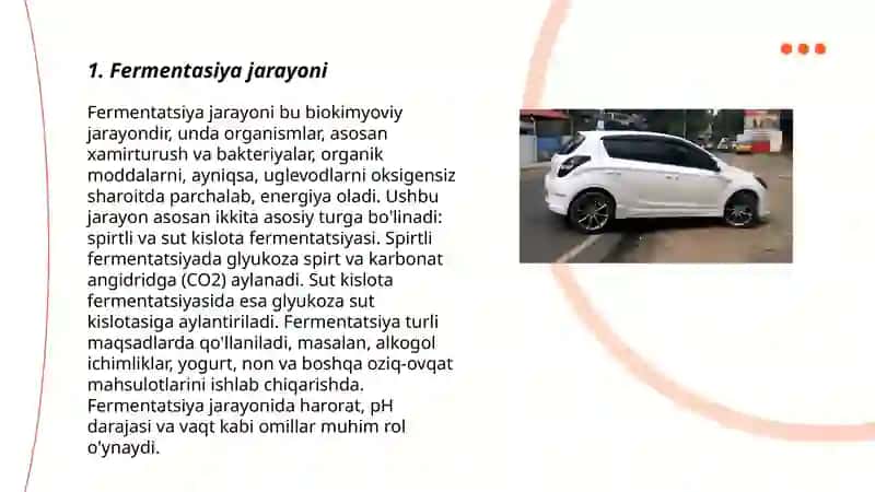 Fermentasiya jarayoni 3