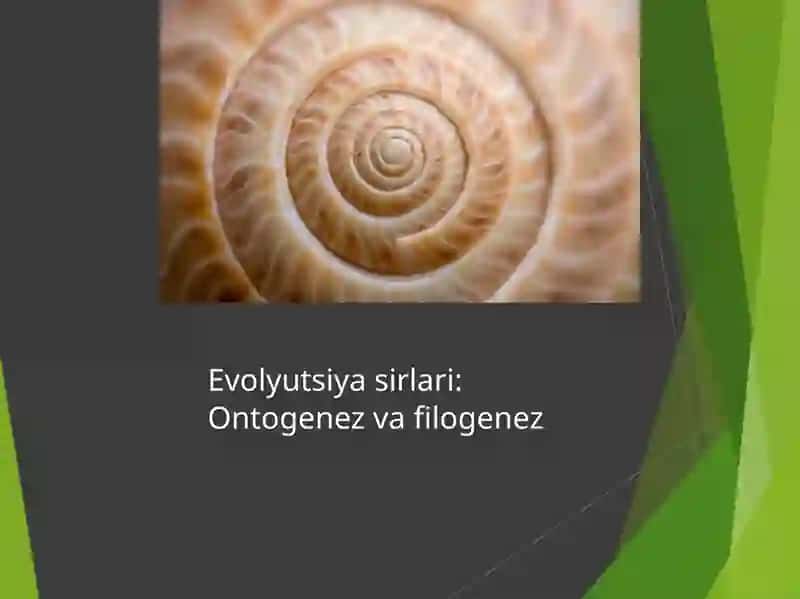 FILOGENEZ VA ONTOGENEZ, ULARNING O‘ZARO BOG‘LIQLIGI 3