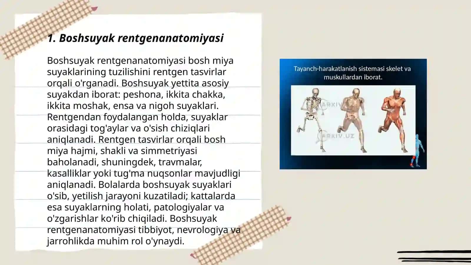 Boshsuyak rentgenanatomiyasi 3