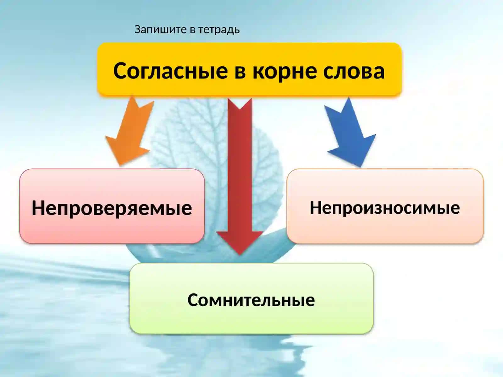 Правописание согласныхвкорне слова 3