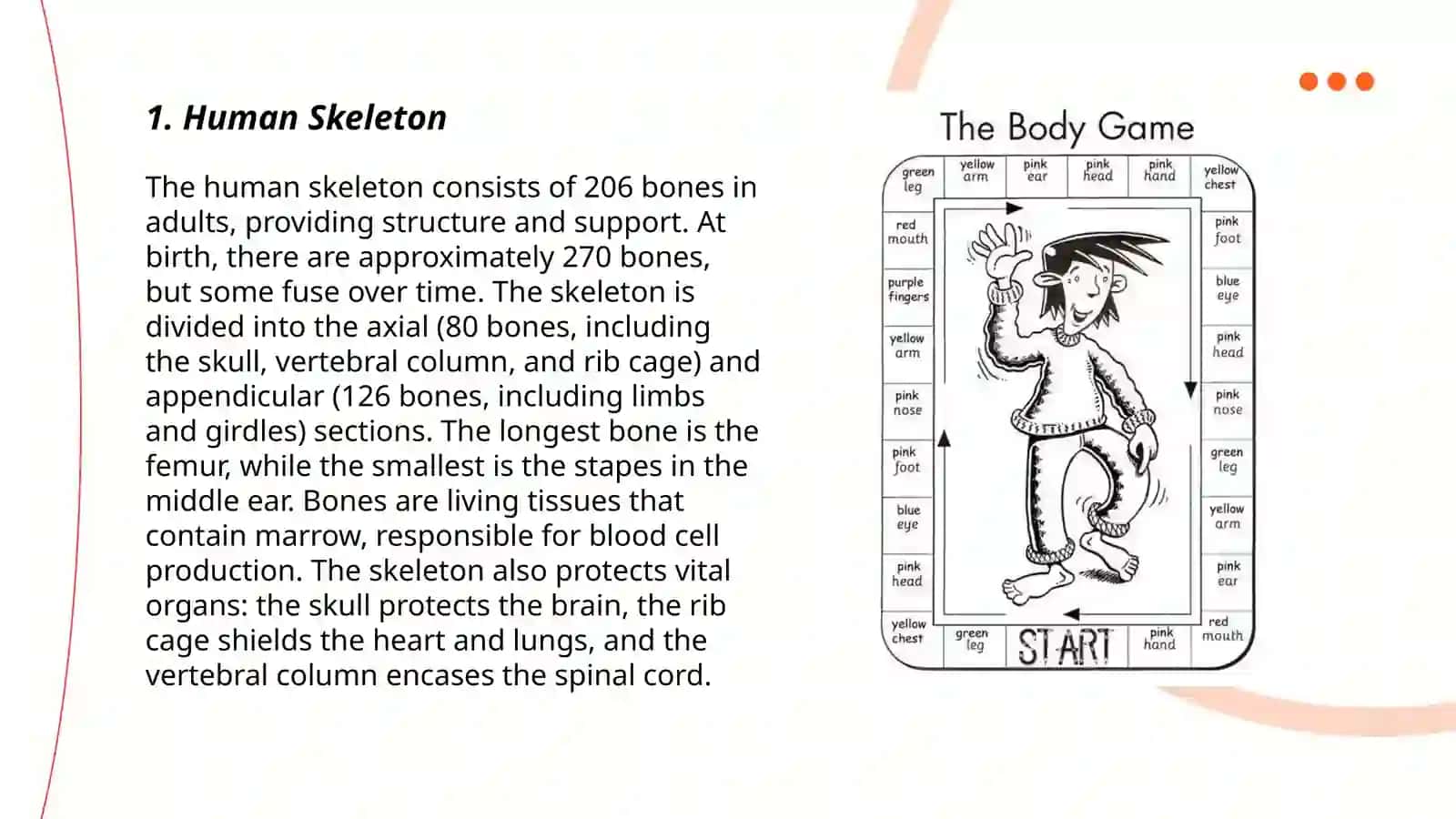 Body Parts 3