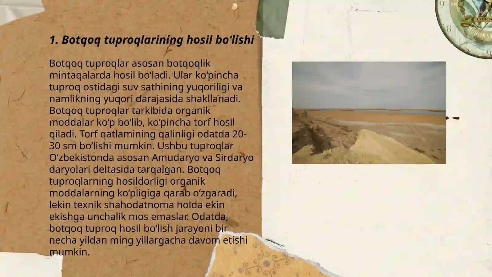 Botqoq tuproqlari 3