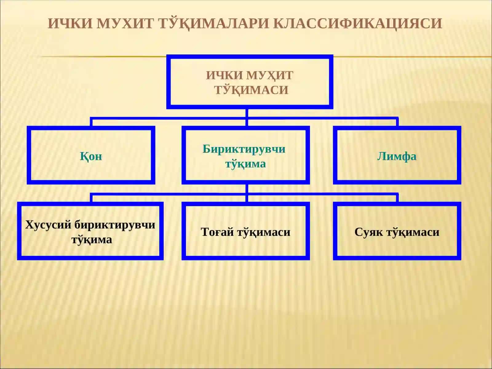 ИЧКИ МУҲИТ ТЎҚИМАЛАРИ КЛАССИФИКАЦИЯСИ 3