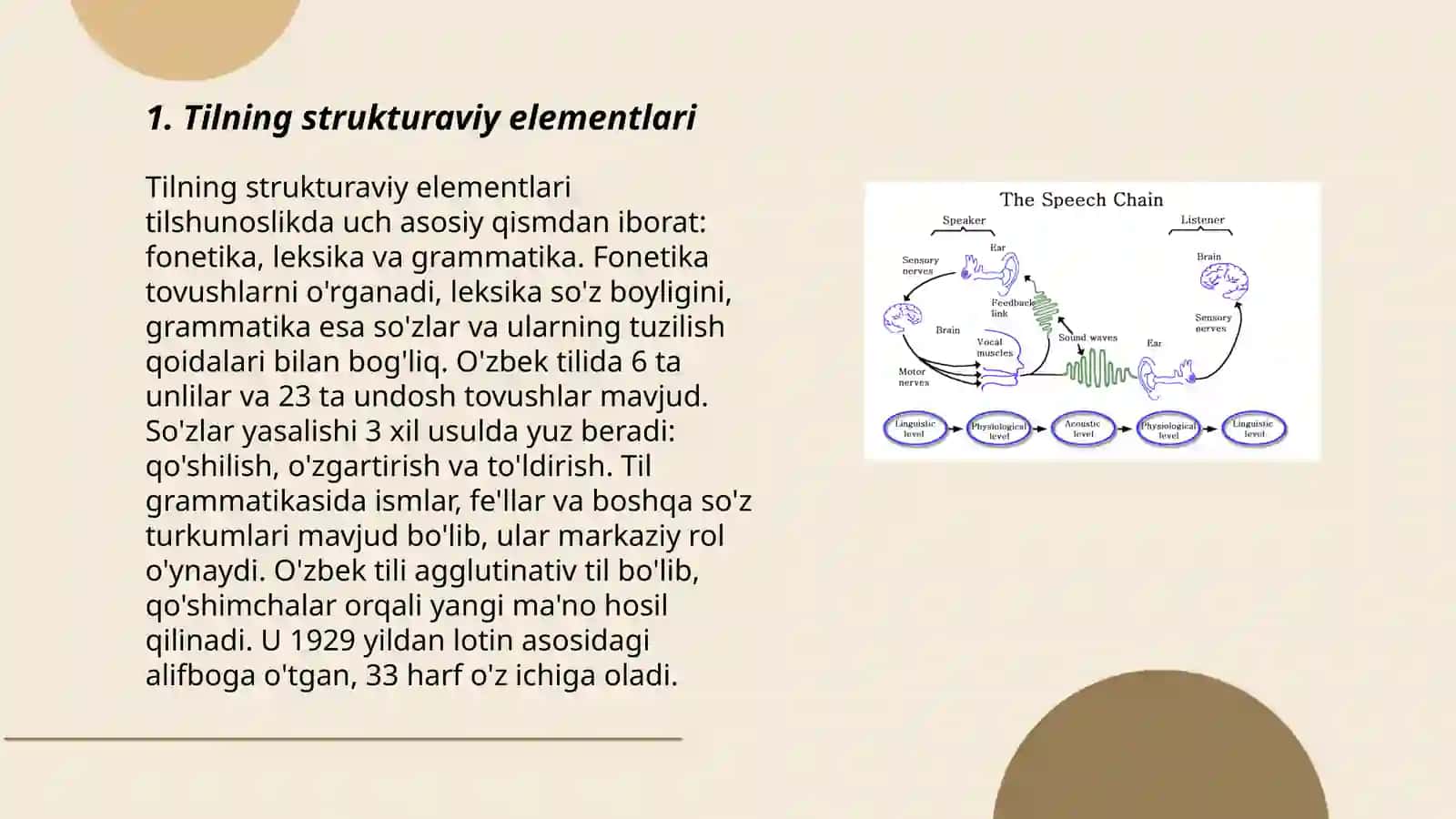 Tilning strukturaviy elementlari 3