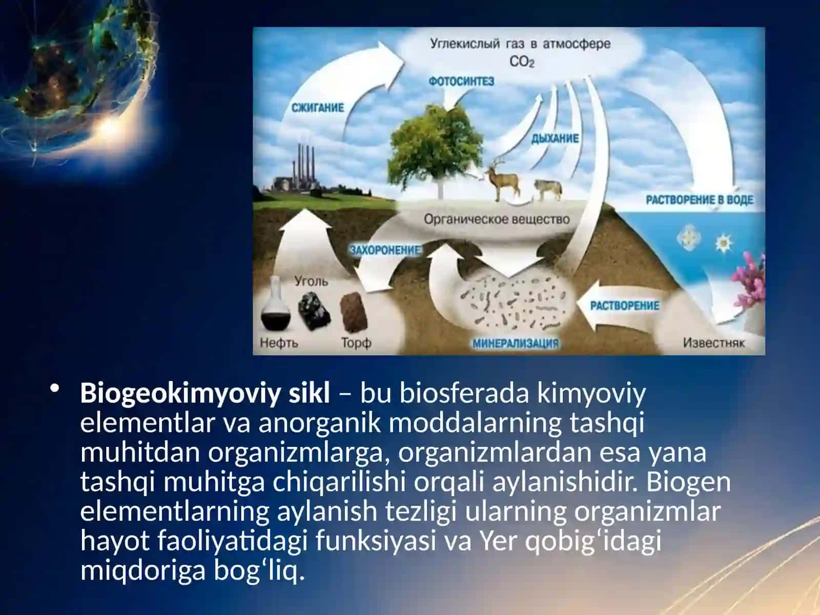 Biogeo kimyoviy sikl 3