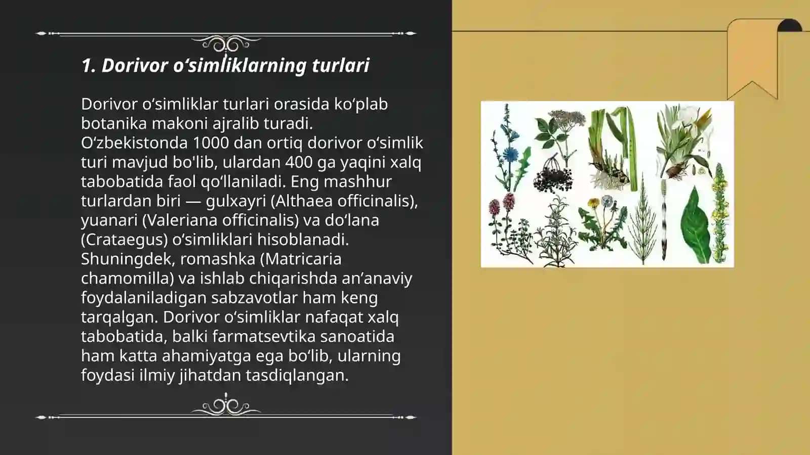 Dorivor oʻsimliklar 3