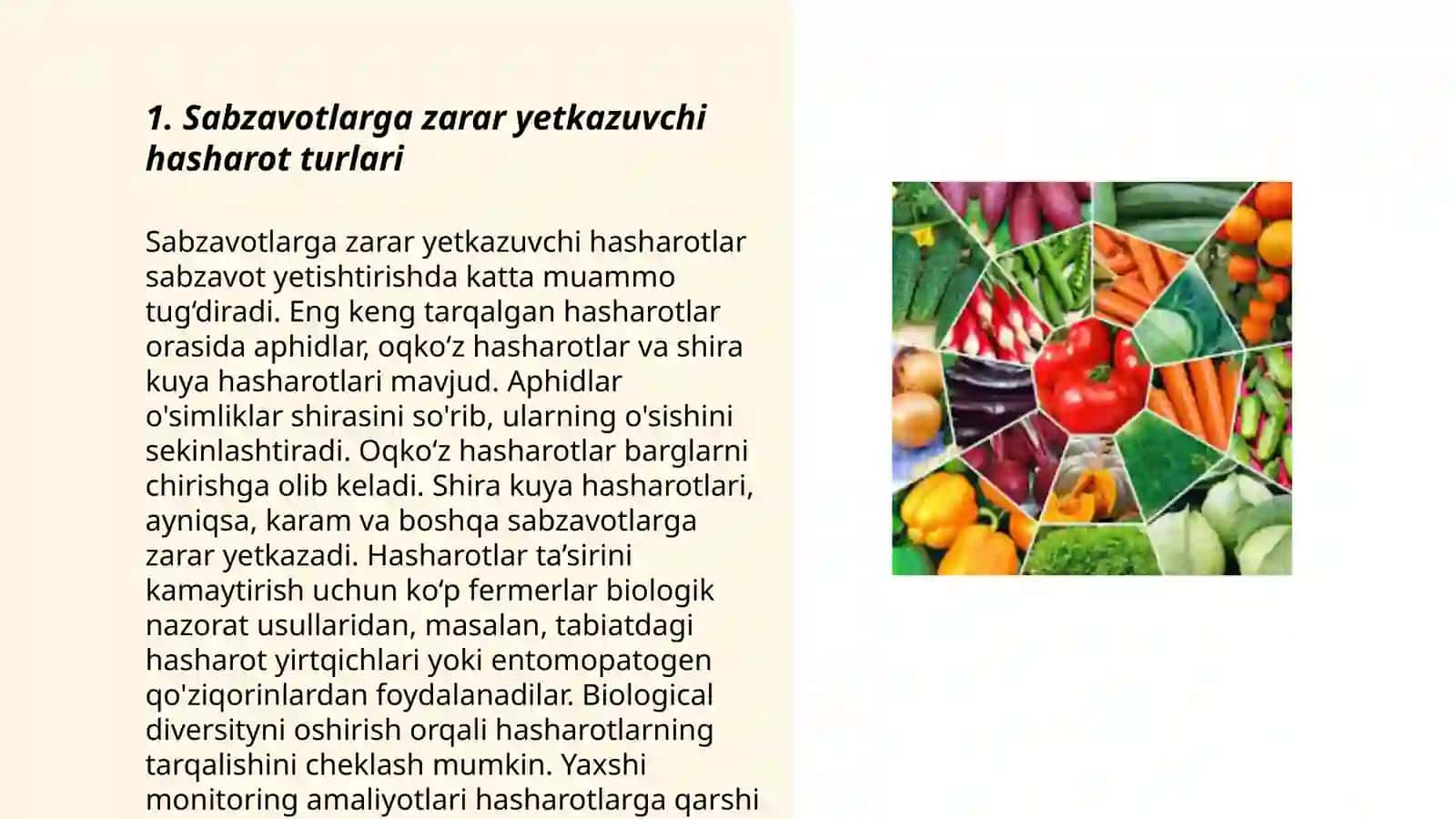 Hasharotlar haqida 3