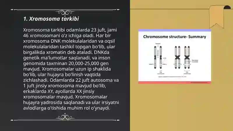 Xromasoma strukturasi 3