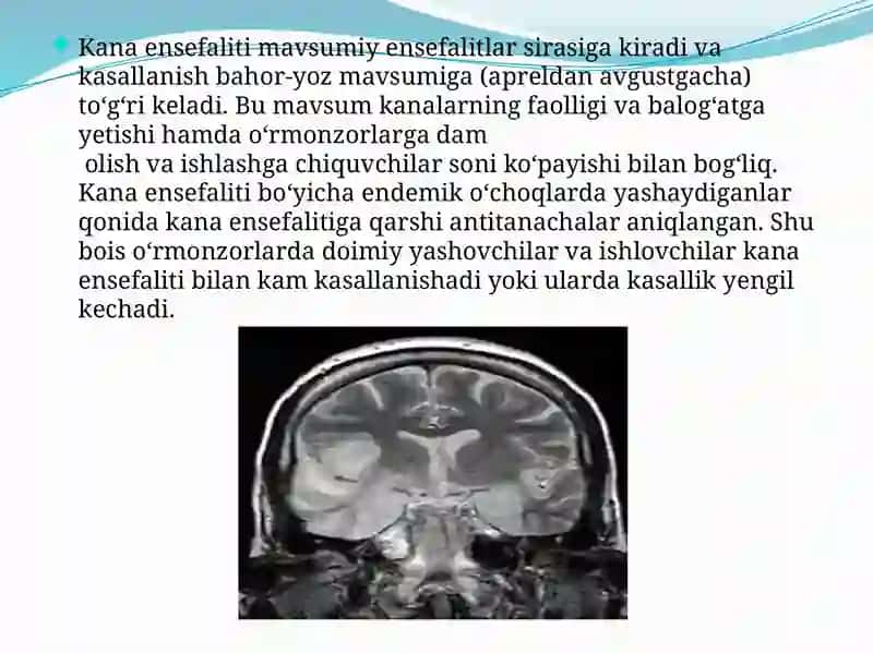 Kanaensefaliti 3