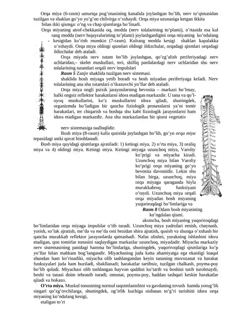Xulq-atvorning psixofiziologik asosi 3