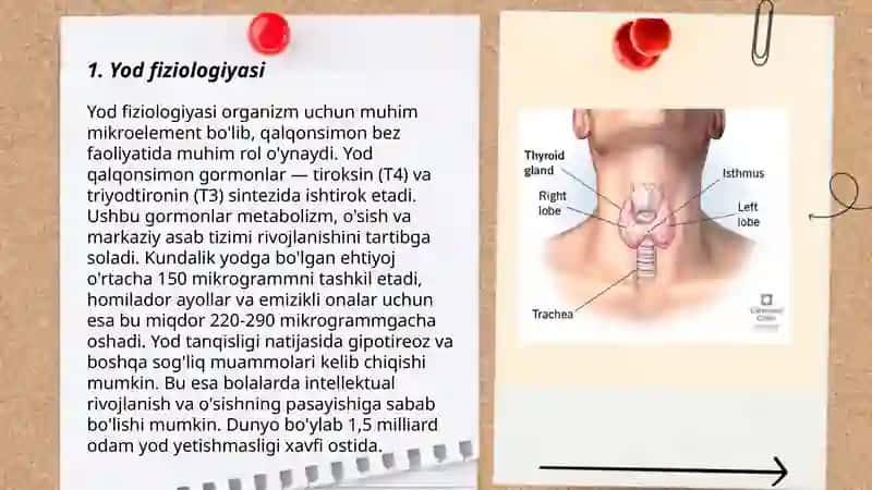 Yod va uning laborator diagnostikasi 3