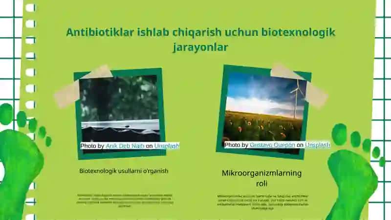 Antibiotiklar ishlab chiqarish biotexnologiyasi 3