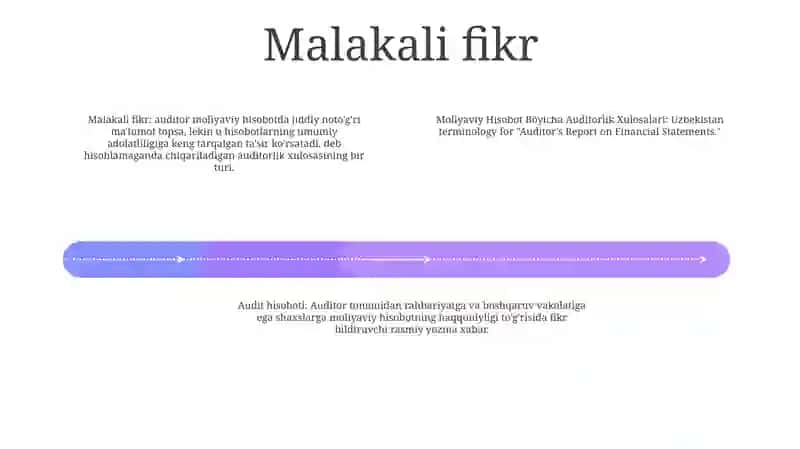 Moliyaviy Hisobot Böyicha Auditorlik Xulosalari 3