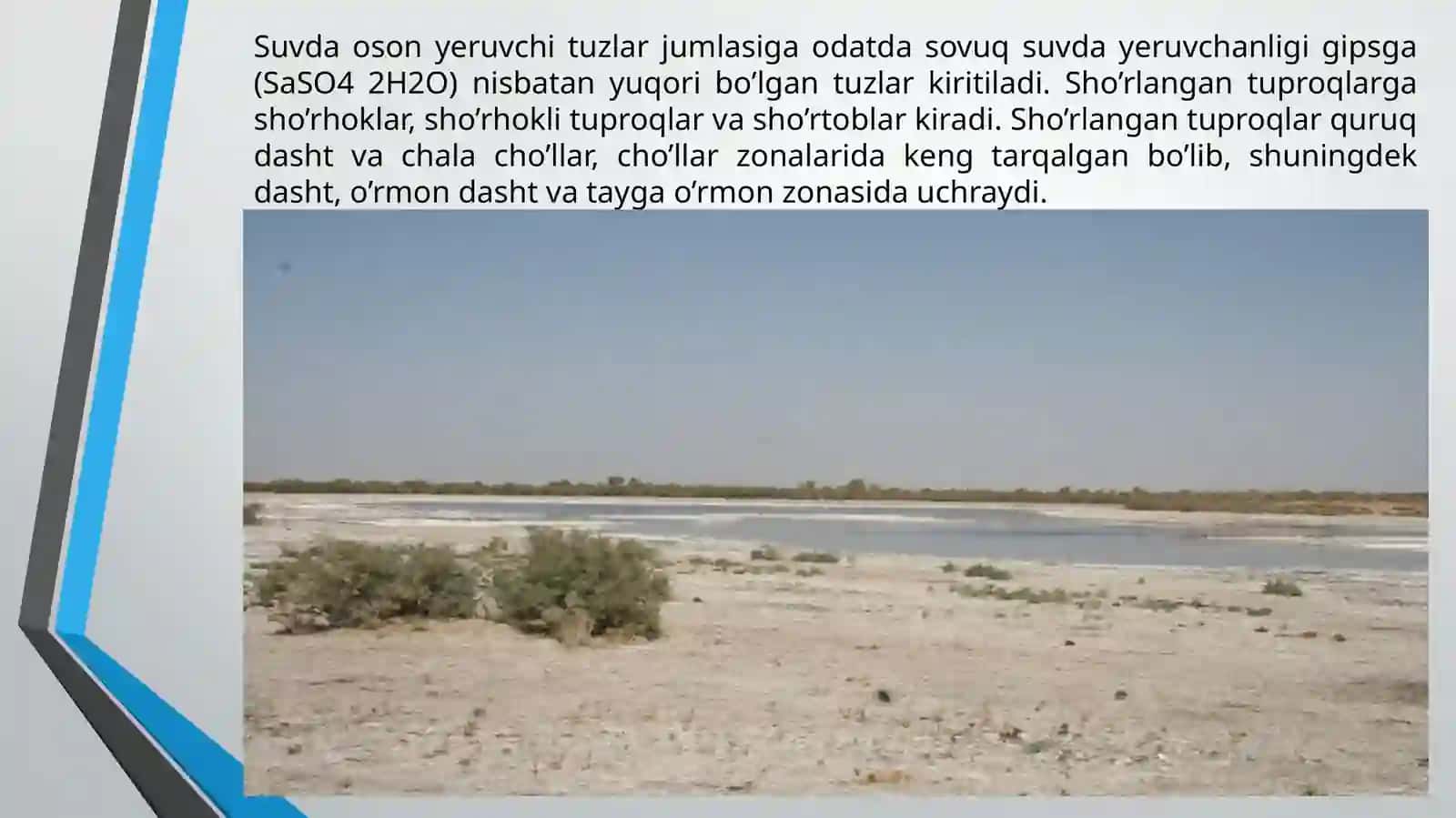 Sho'rtuproqlarniklassifikatsiyalari 3