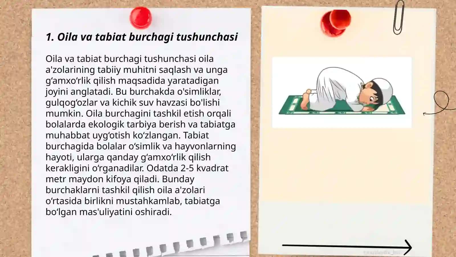 Oiladan tabiat burchagini tashkil etish 3