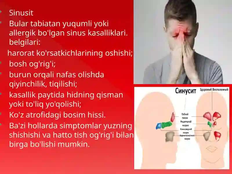 Nafas olish tizimasi 3