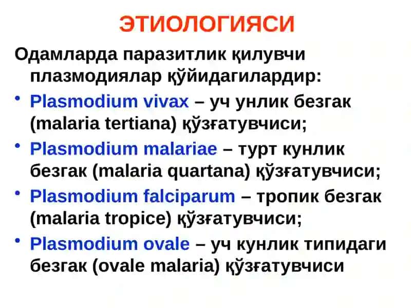 БЕЗГАК(МАЛЯРИЯ,MALARIA) 3