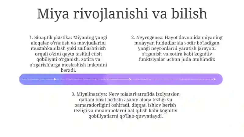 Psixik Rivojlanishning Asosiy Xususiyatlari 3
