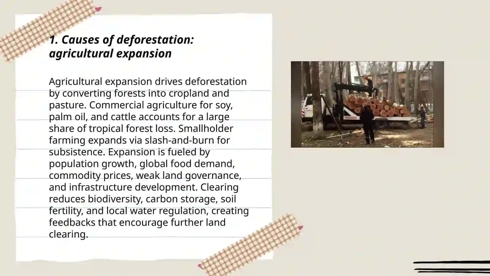 Deforestation and Environmental Issues Presentation 3