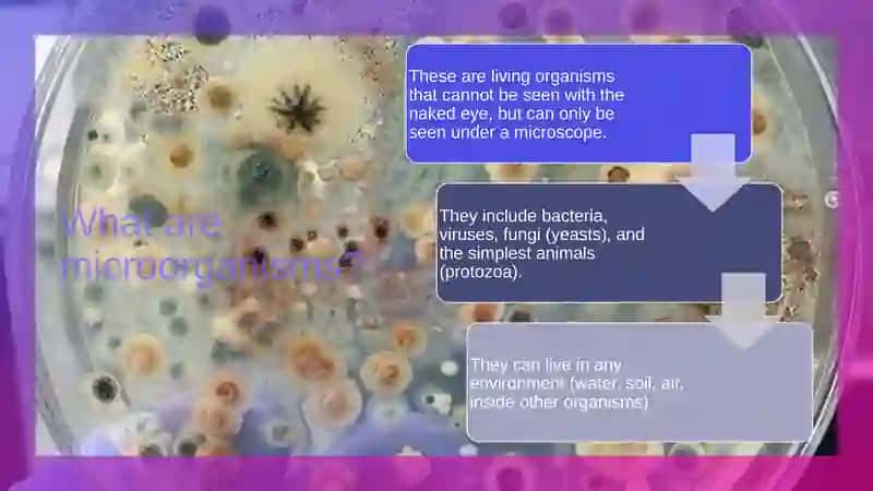 Microbiology: Invisible Life and Its Importance to Humanity 3